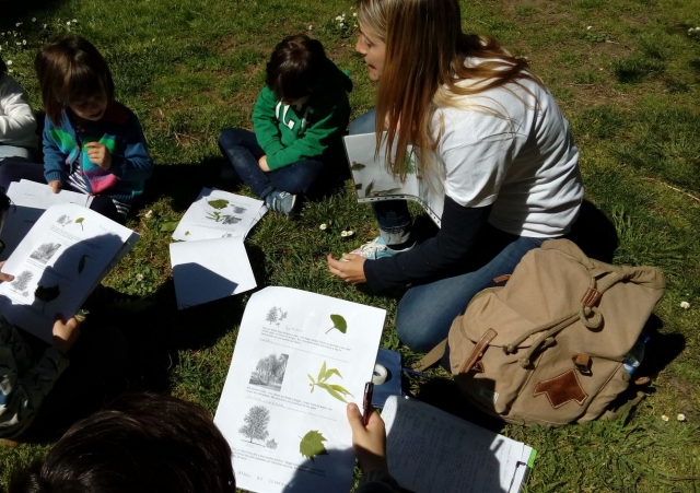  Conoscere gli alberi 
