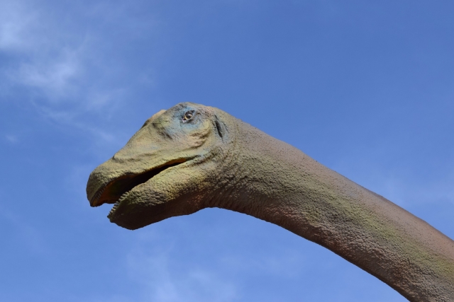Cabeza de dinosaurio