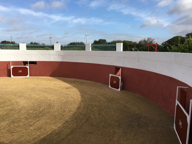 Plaza para capeas en el complejo