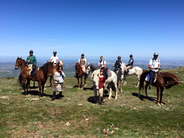  Sunny day with the horses 