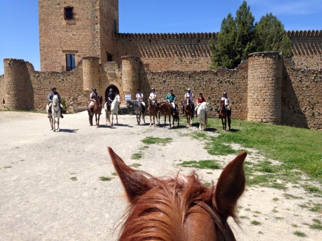  View of the castle from this another horse