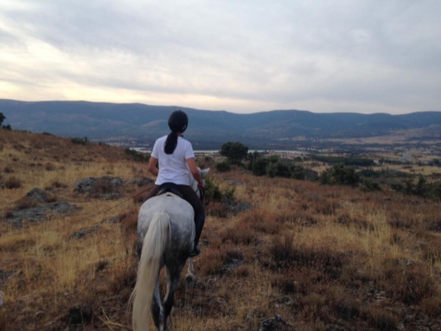 Riding towards the horizon 