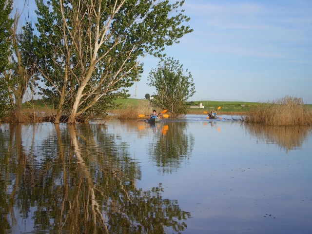  Passing with the kayaks between the trees 