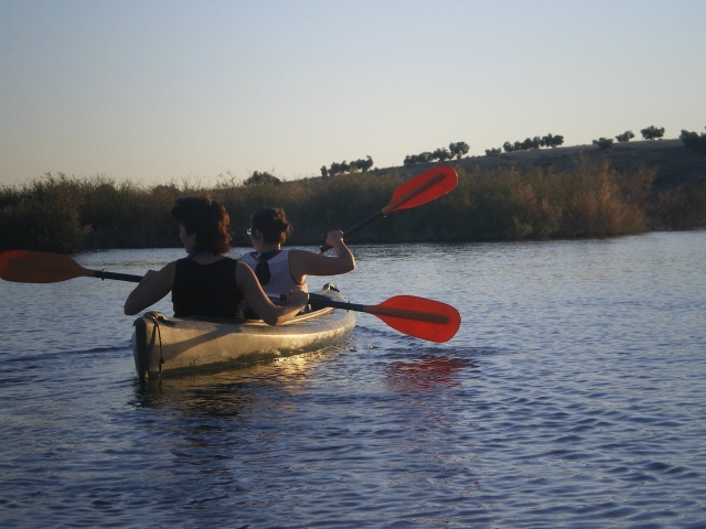  Rowing by Daimiel 