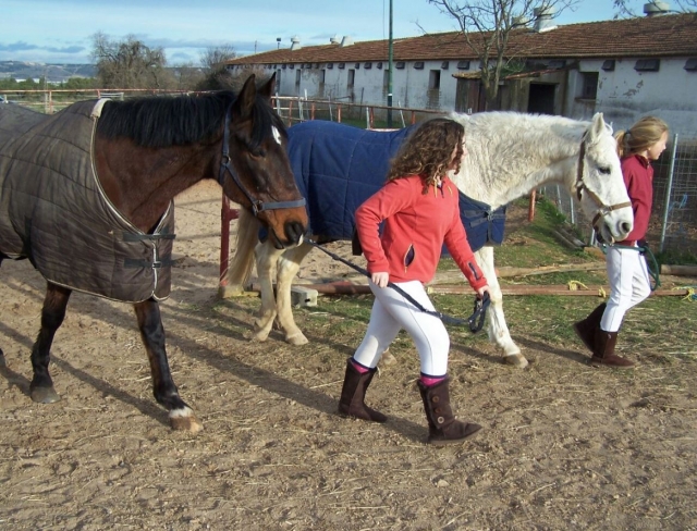 Regreso de los caballos a sus boxes