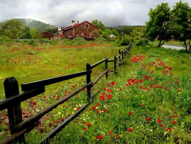  Navalhorno in Segovia 