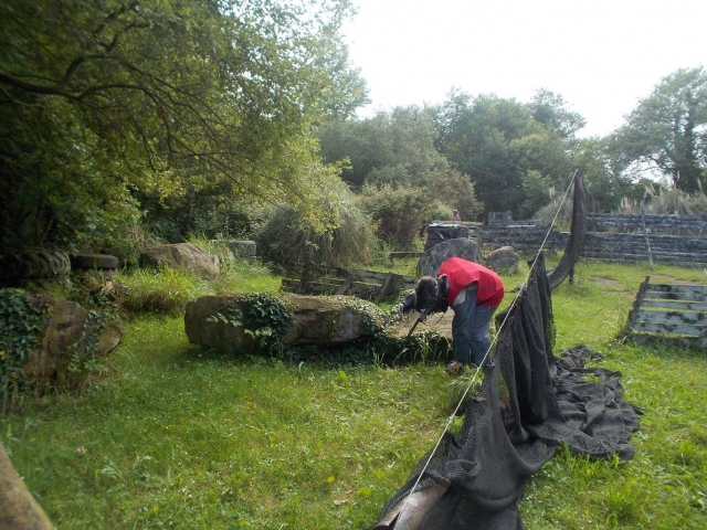  Paintball player crouching on the field 