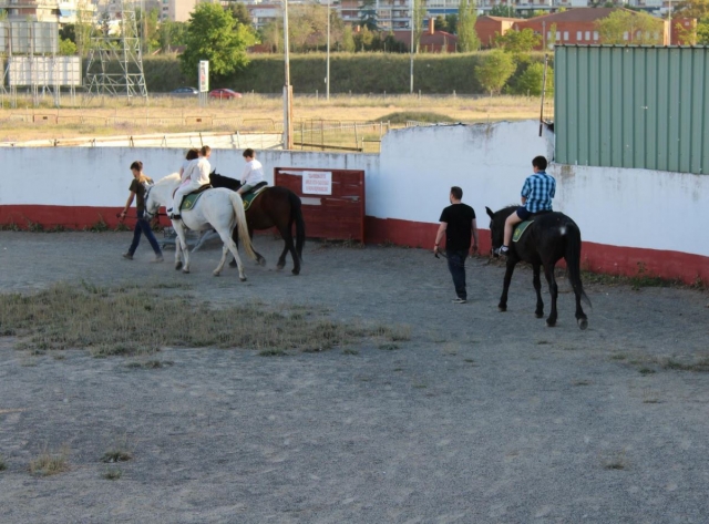 Paseando en circulo con los caballos