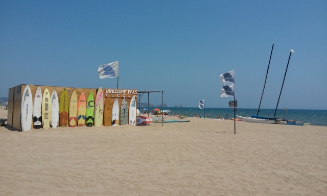 Windsurf Pals
