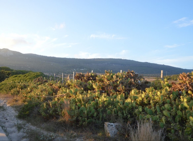 Entorno natural del campamento de kite