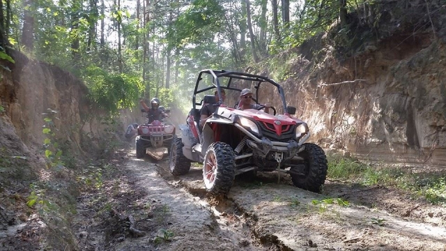  Buggy through the mud 