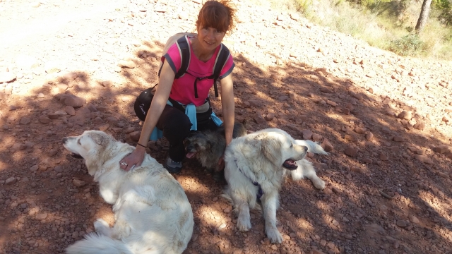 Acariciando a los perros