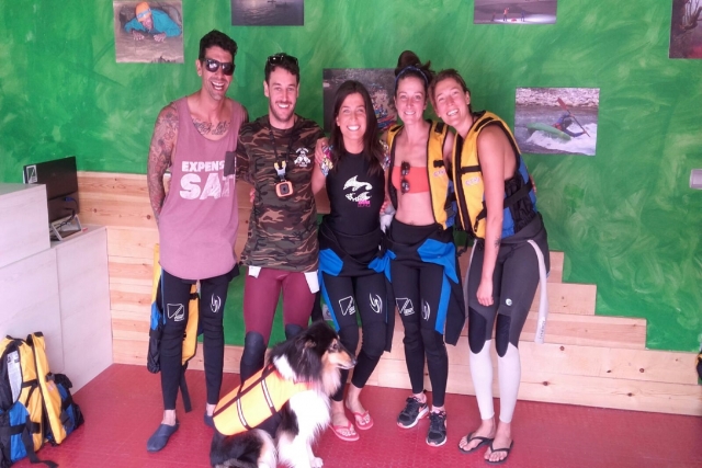  Dog with a vest for the Sella 