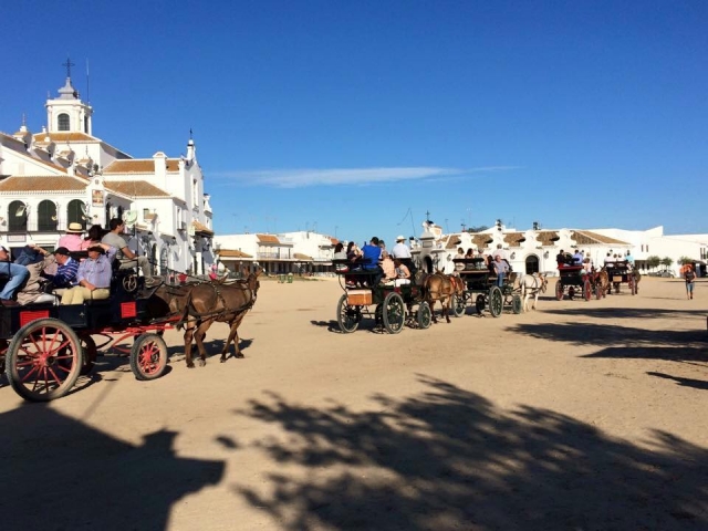 Con coches de caballos en El Rocio