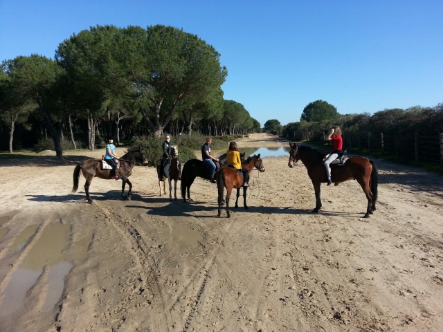 Parados con los caballos en Donana