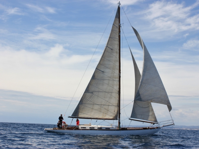 Tago navegando en el mar