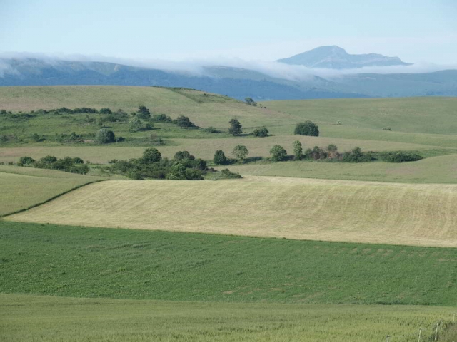 Campo de Abaurrea 