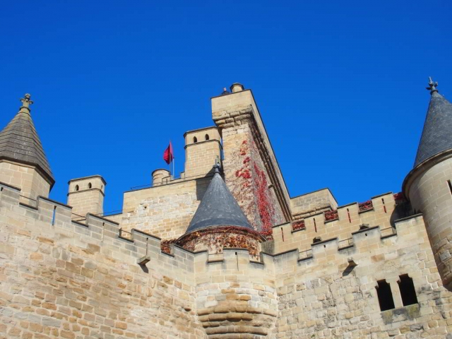  Castello di Olite 