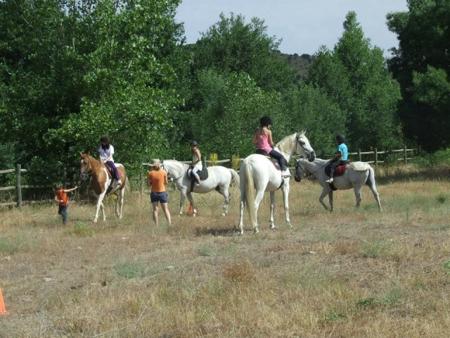 Aprendiendo sobre los caballos al aire libre
