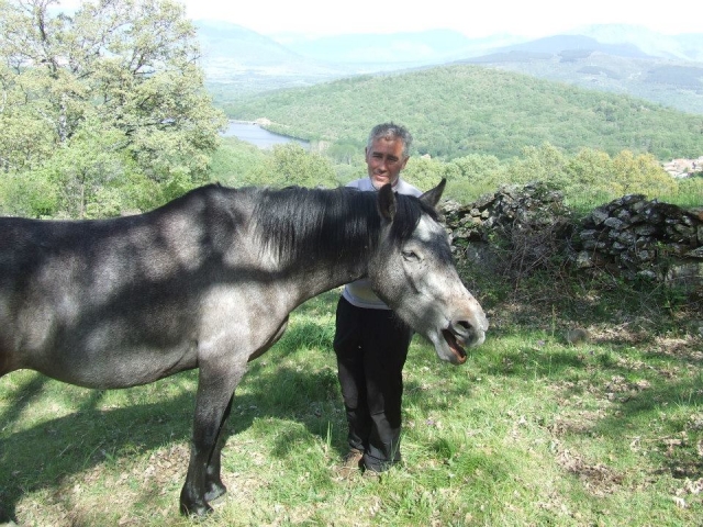 Mimando al caballo