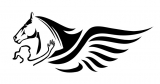 Terapia Ecuestre Pegaso