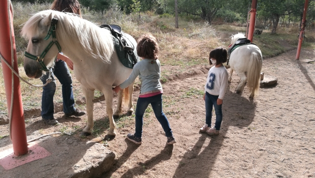 Preparando los ponis