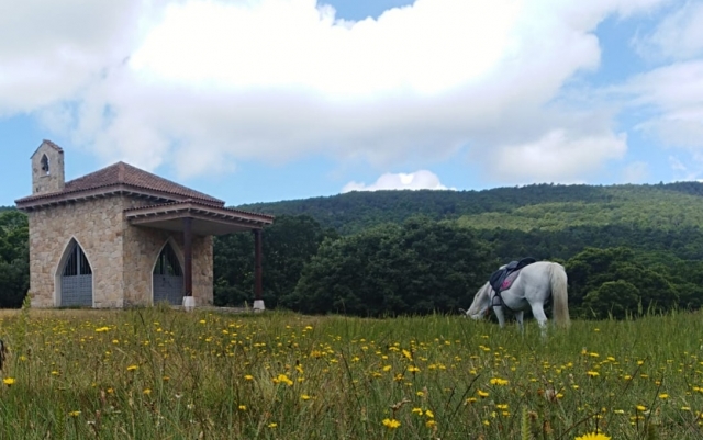 Ruta larga a Casillas