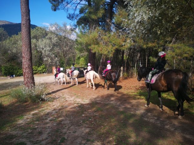 Saliendo de la hípica