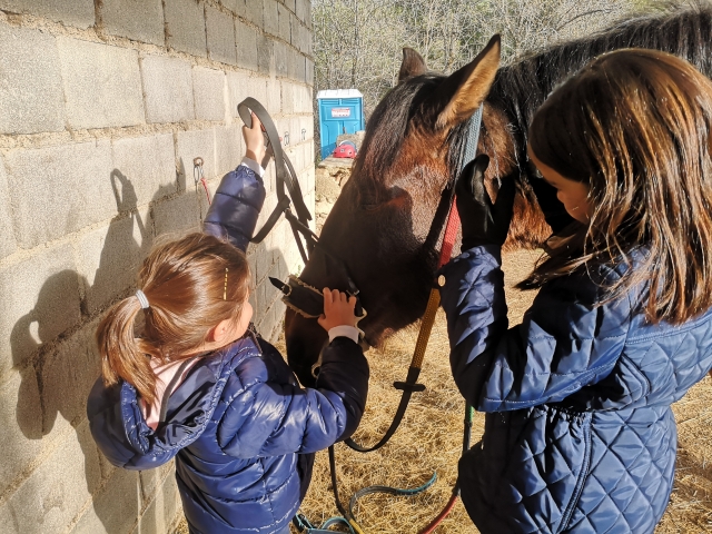 Clases de equitación