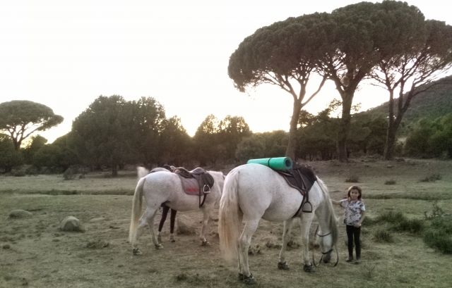Acampada a caballo