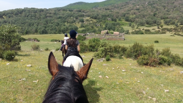 Cabalgando en fila