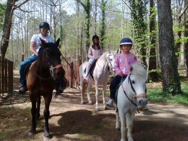 Paseo con caballos y ponys