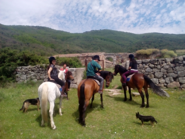 Grupo a caballo con los perritos