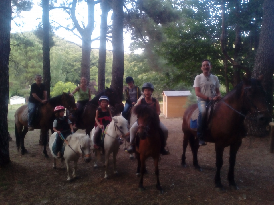 Grupo de ruta con caballos y ponys para peques Grupo de ruta con caballos y ponys para peques