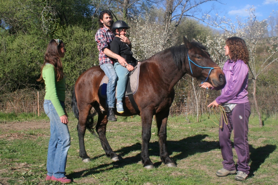 Aprendiendo como montar a caballo Aprendiendo como montar a caballo