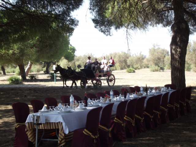 e-19741535-coche-de-caballos-y-mesa-para-eventos14990762414291.jpg