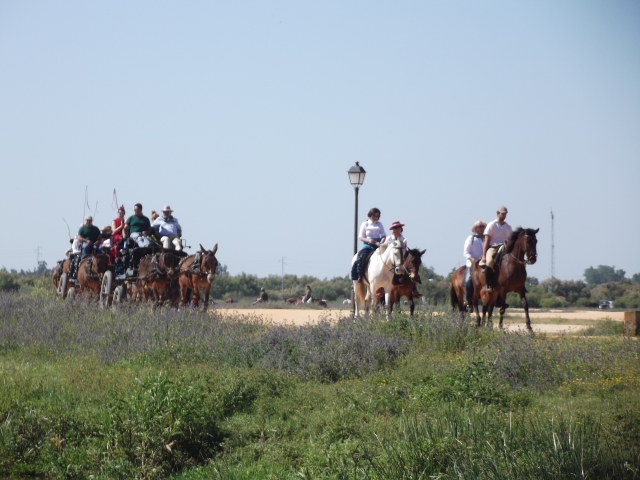 e-19741538-excursion-con-caballos-y-carros14990761399753.jpg