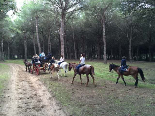 e-19741538-siguiendo-al-coche-de-caballos14990761442013.jpg