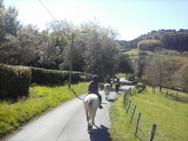 Camino bordeado por vallas