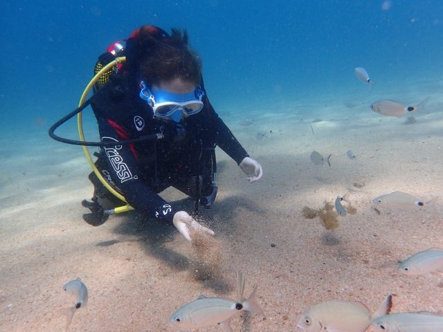  Mit den Fischen spielen 