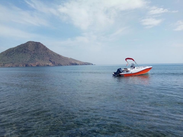  Boot zu vermieten auf Ibiza 