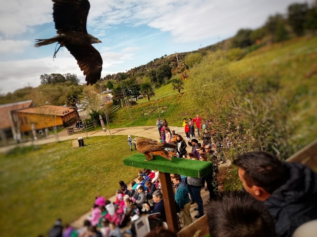 Parque del Cabarceno