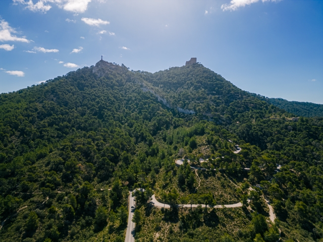 Recorriendo bosques de Mallorca en buggy