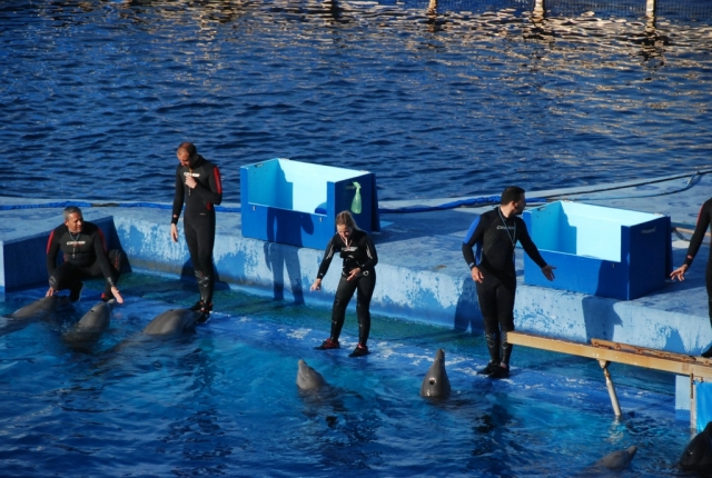 Trainers with the dolphins 
