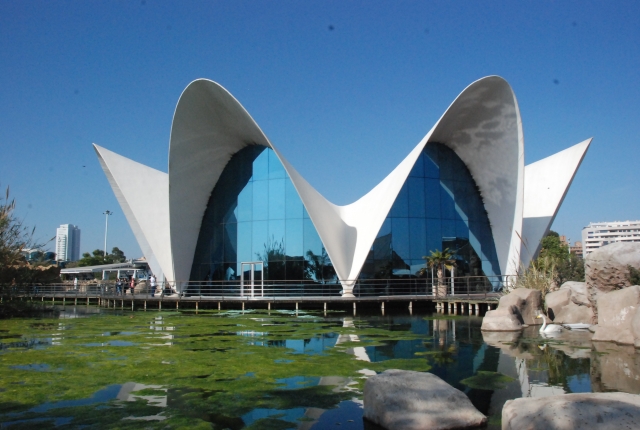  Oceanografic central lagoon 