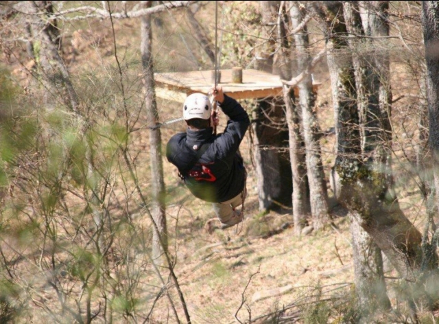 Jumping on a zip line between the trees 