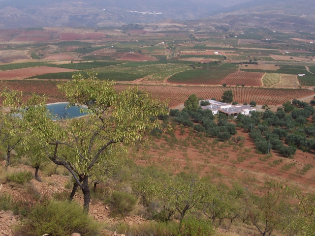  Finca Cortijo El Cura 