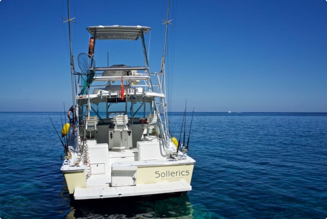 DronPro Costera 1 4 1200 900 80 rd 255 255 255