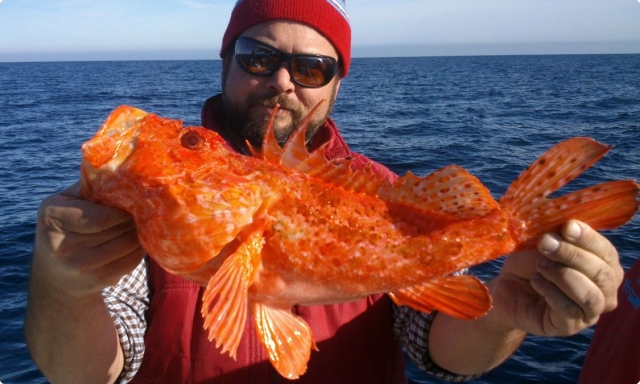 DSC 2028 48 1200 900 80 rd 255 255 255