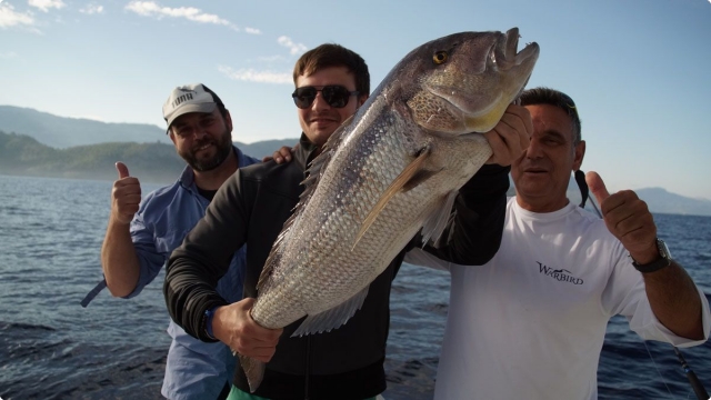 DSC03737 23 1200 900 80 rd 255 255 255